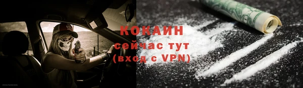 ешки Снежинск