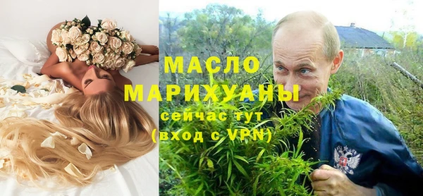 шишки Снежногорск